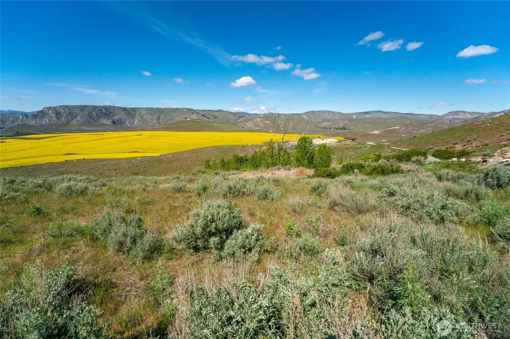 0 Plata Road Lot 4 Brewster WA 98812
