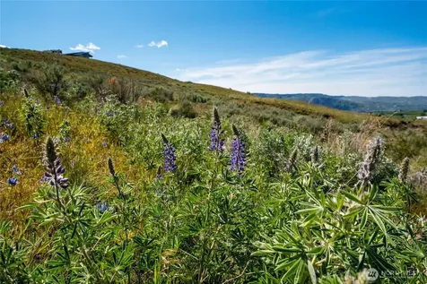 0 Plata Road Lot 4 Brewster WA 98812
