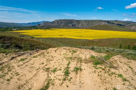 0 Plata Road Lot 4 Brewster WA 98812