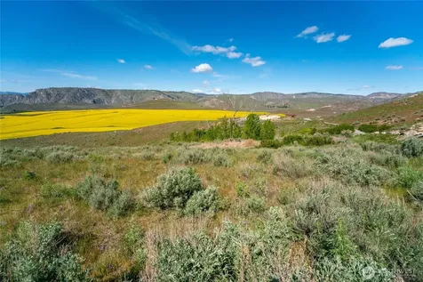 0 Plata Road Lot 4 Brewster WA 98812