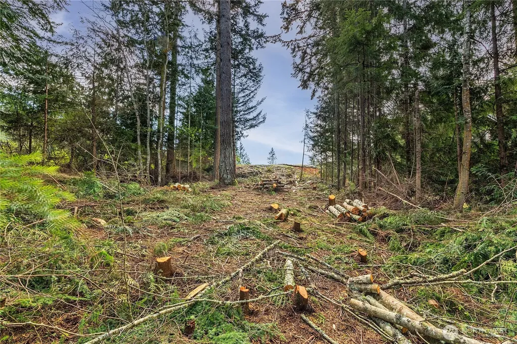 36 Dunbar Court Port Ludlow WA 98365