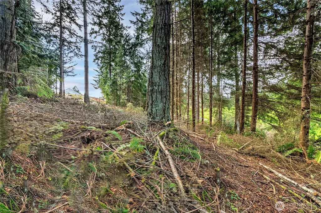36 Dunbar Court Port Ludlow WA 98365
