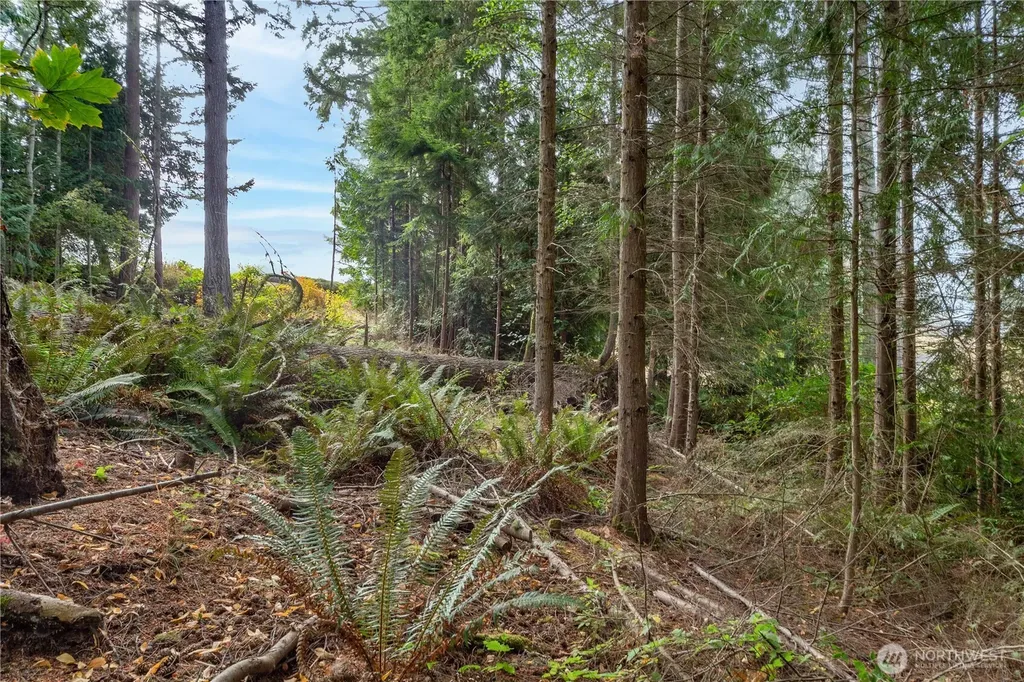 36 Dunbar Court Port Ludlow WA 98365