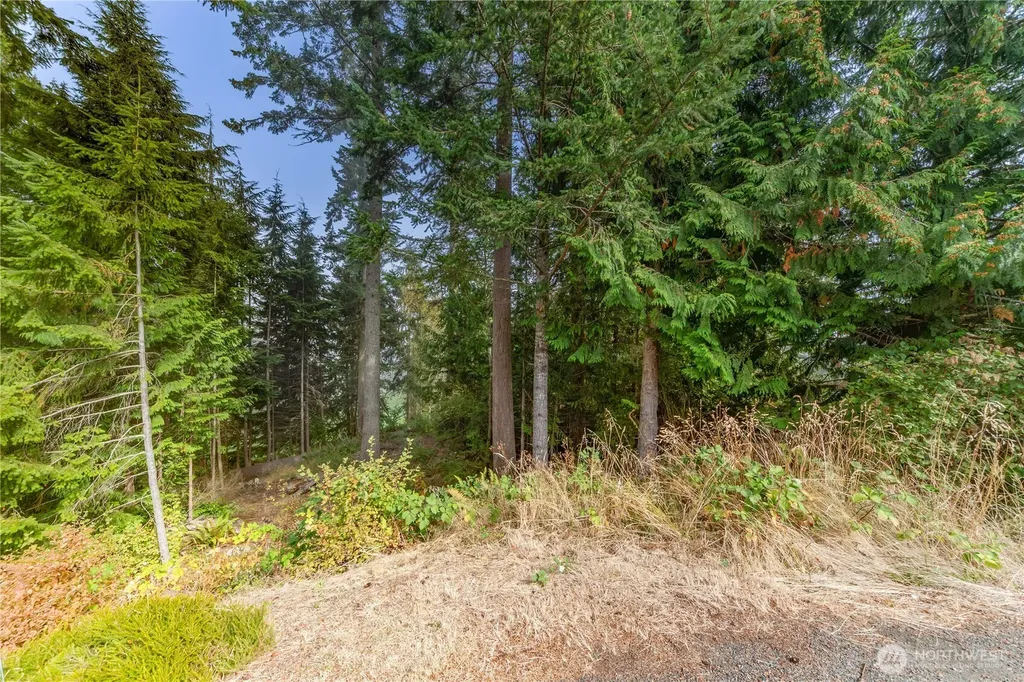 36 Dunbar Court Port Ludlow WA 98365