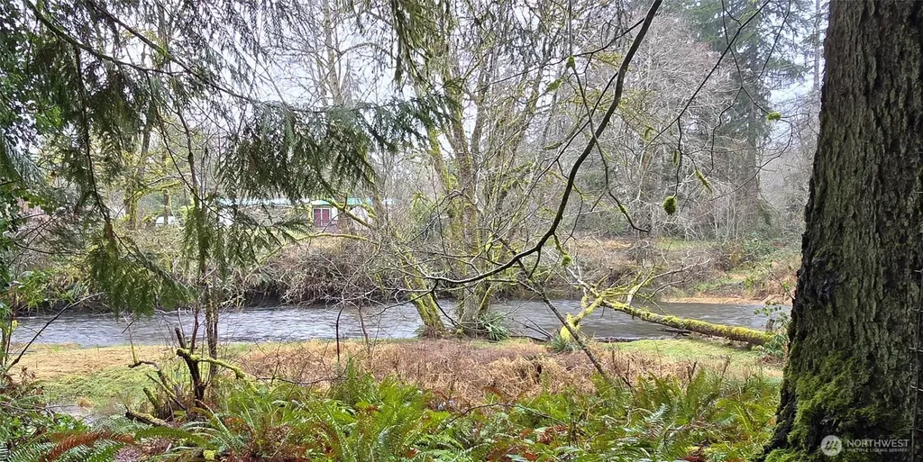 351 W Haven Drive Elma WA 98541