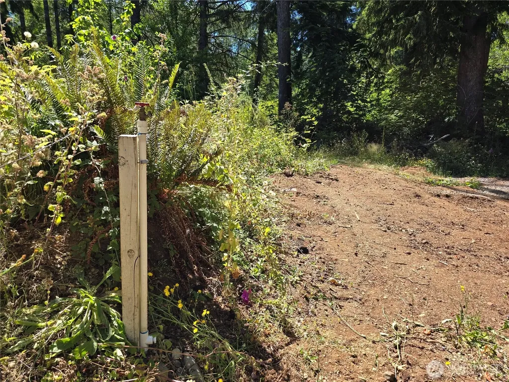 351 W Haven Drive Elma WA 98541