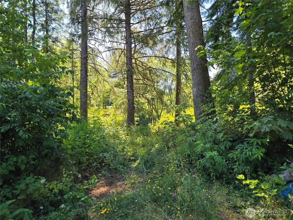 351 W Haven Drive Elma WA 98541