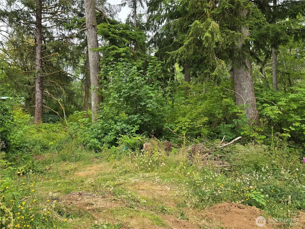 351 W Haven Drive Elma WA 98541