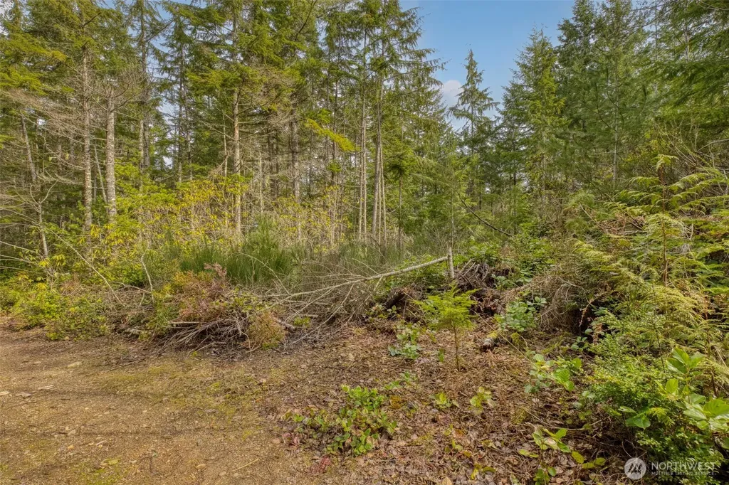 2 Larson Lane NW Seabeck WA 98380