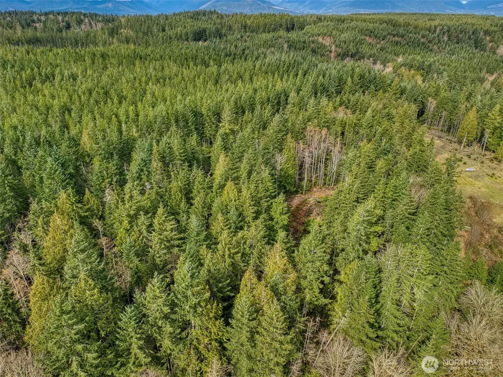 2 Larson Lane NW Seabeck WA 98380