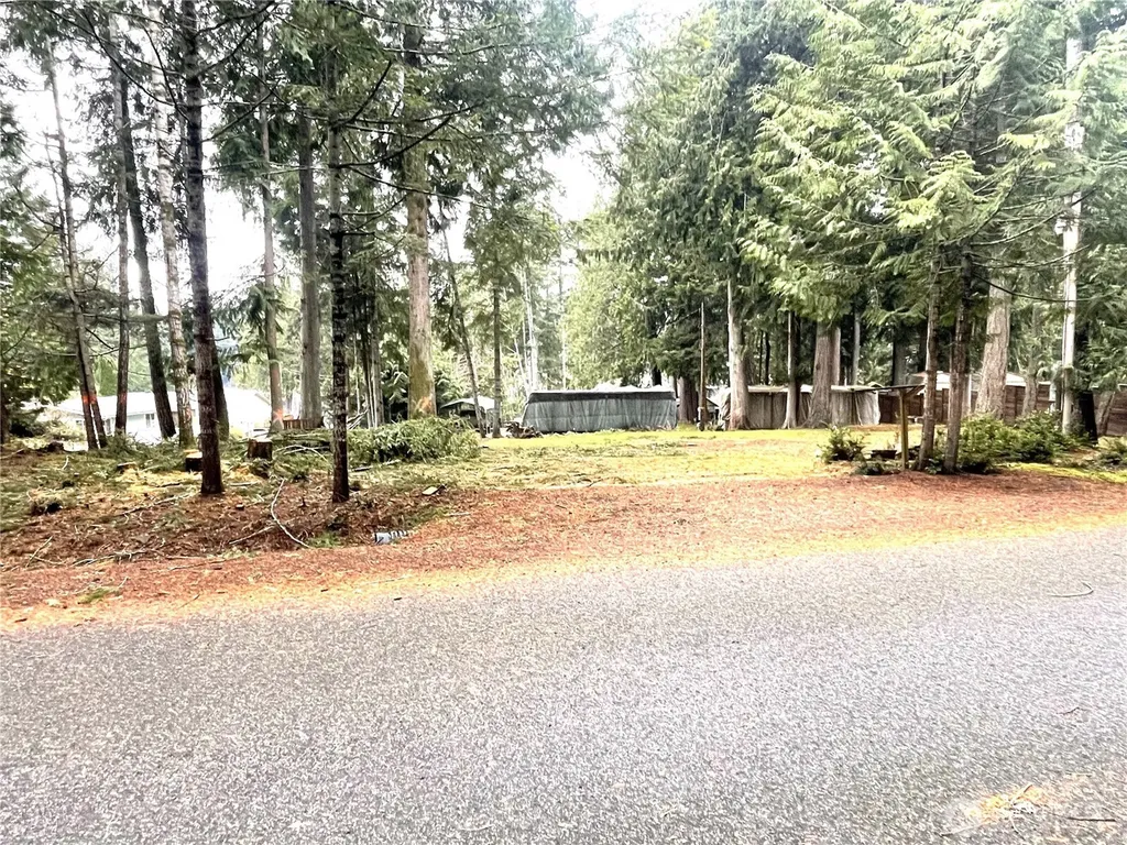 81 E Annas Way Shelton WA 98584