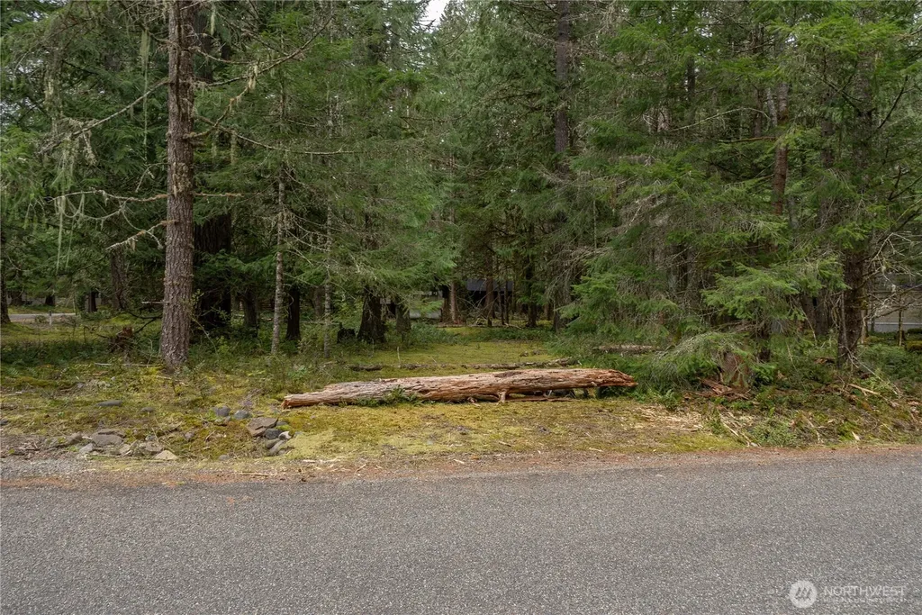 38313 566th Street Ct E Ashford WA 98304