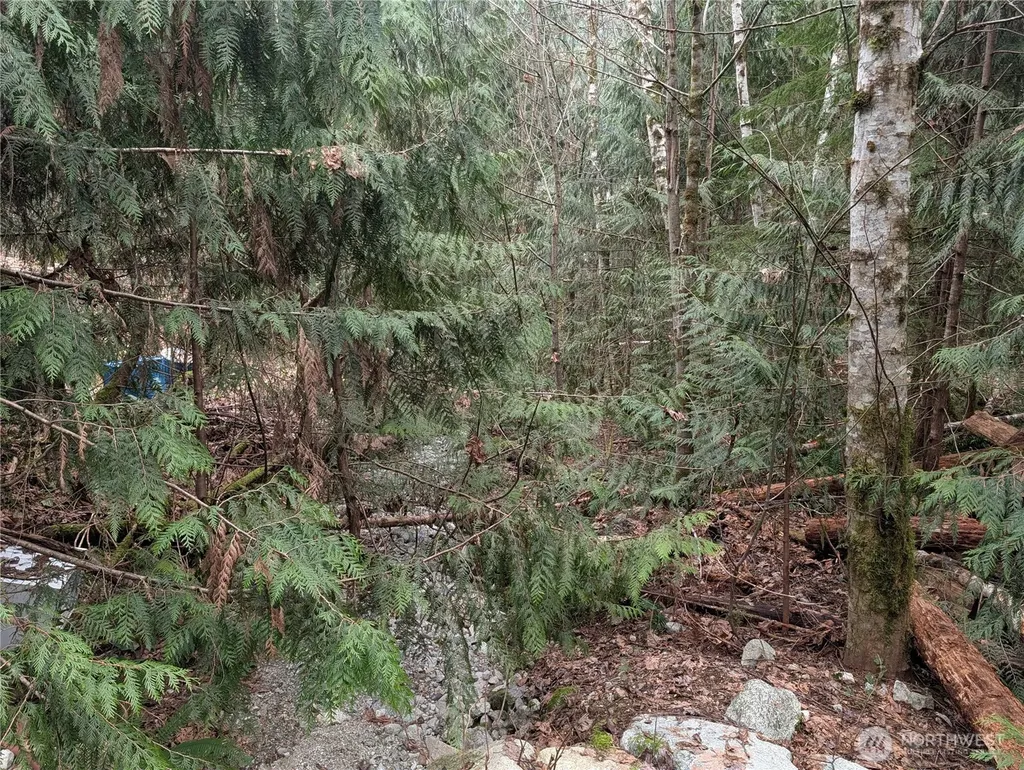 64062 Cascade River Road Marblemount WA 98267
