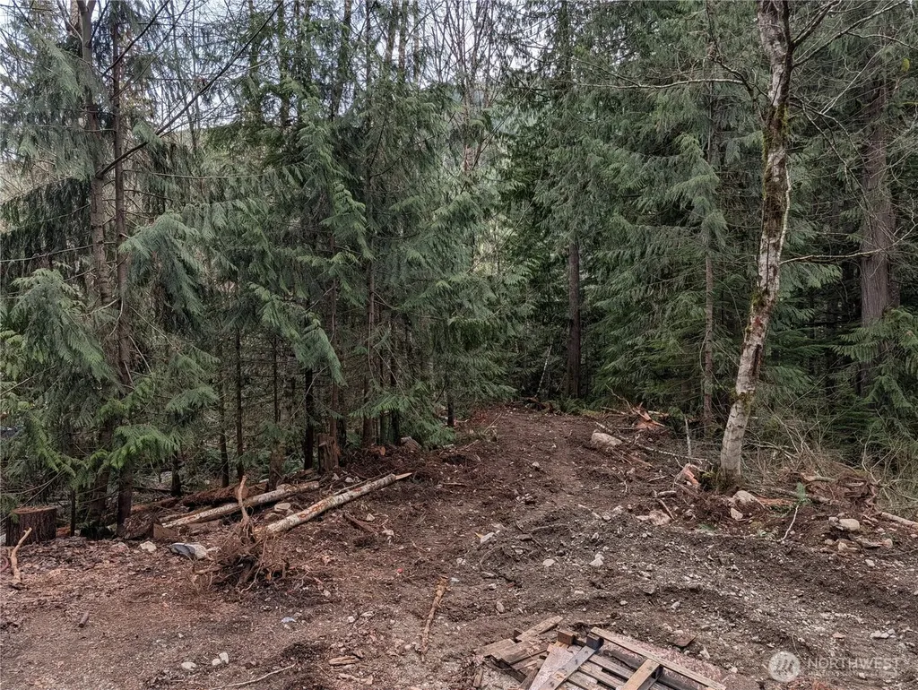 64062 Cascade River Road Marblemount WA 98267