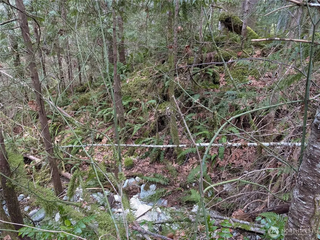 64062 Cascade River Road Marblemount WA 98267