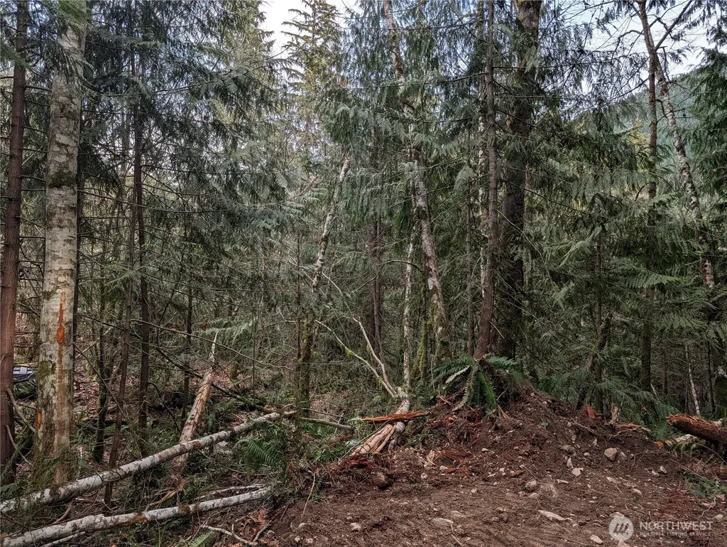 64062 Cascade River Road Marblemount WA 98267