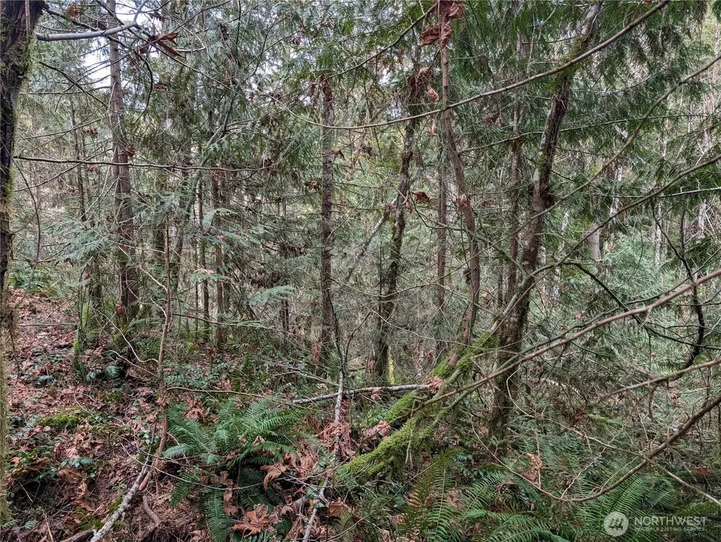 64062 Cascade River Road Marblemount WA 98267