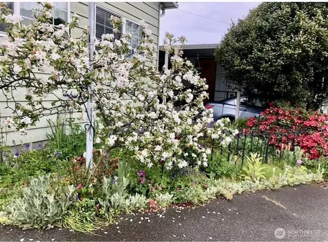 18501 52nd Avenue Lynnwood WA 98037