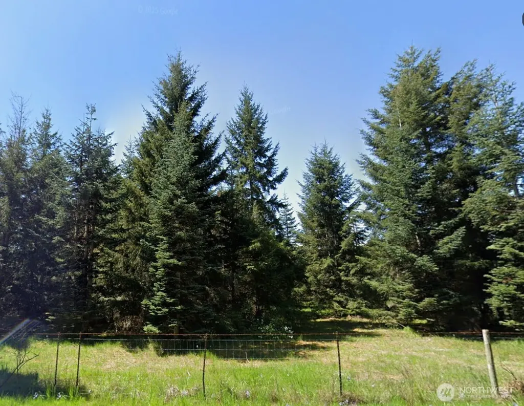 18601 Loganberry Street SW Rochester WA 98579