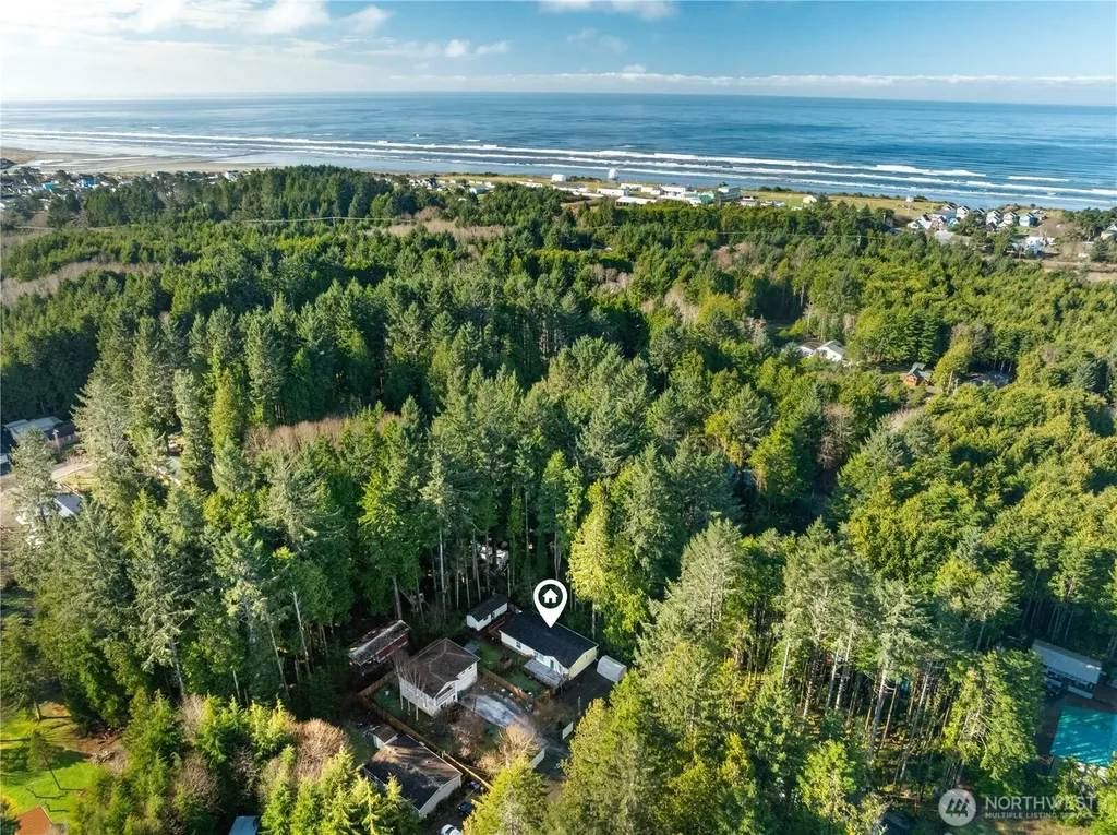 48 Robin Lane Pacific Beach WA 98571