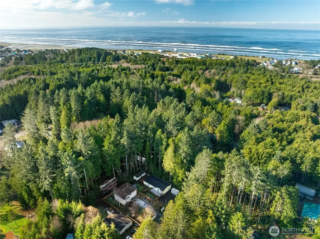 48 Robin Lane Pacific Beach WA 98571