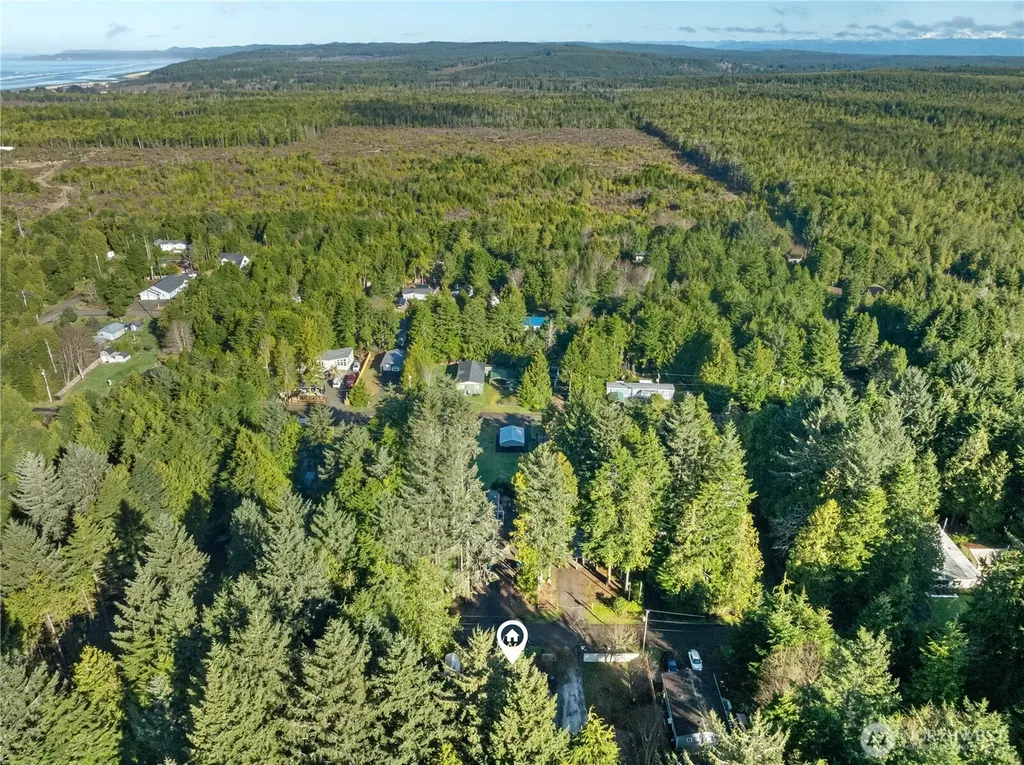 48 Robin Lane Pacific Beach WA 98571