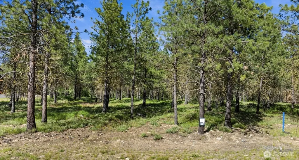 46 Southern Star Lane Cle Elum WA 98922
