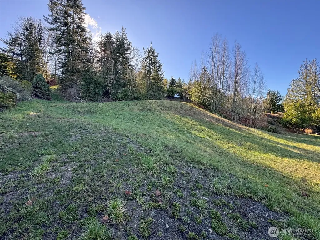 9999 Owls Nest Road Sequim WA 98382