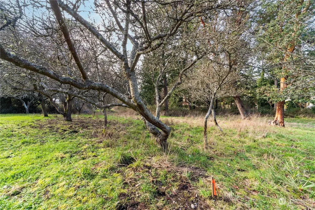 1431 Beech Street Port Townsend WA 98368