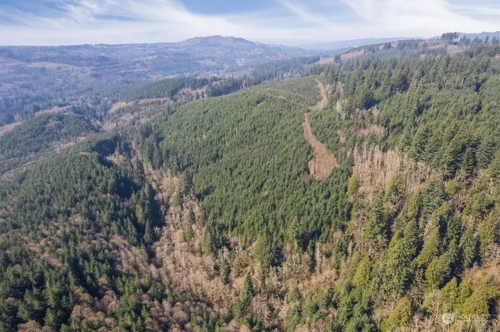 0 Cedar Mist Road Amboy WA 98601