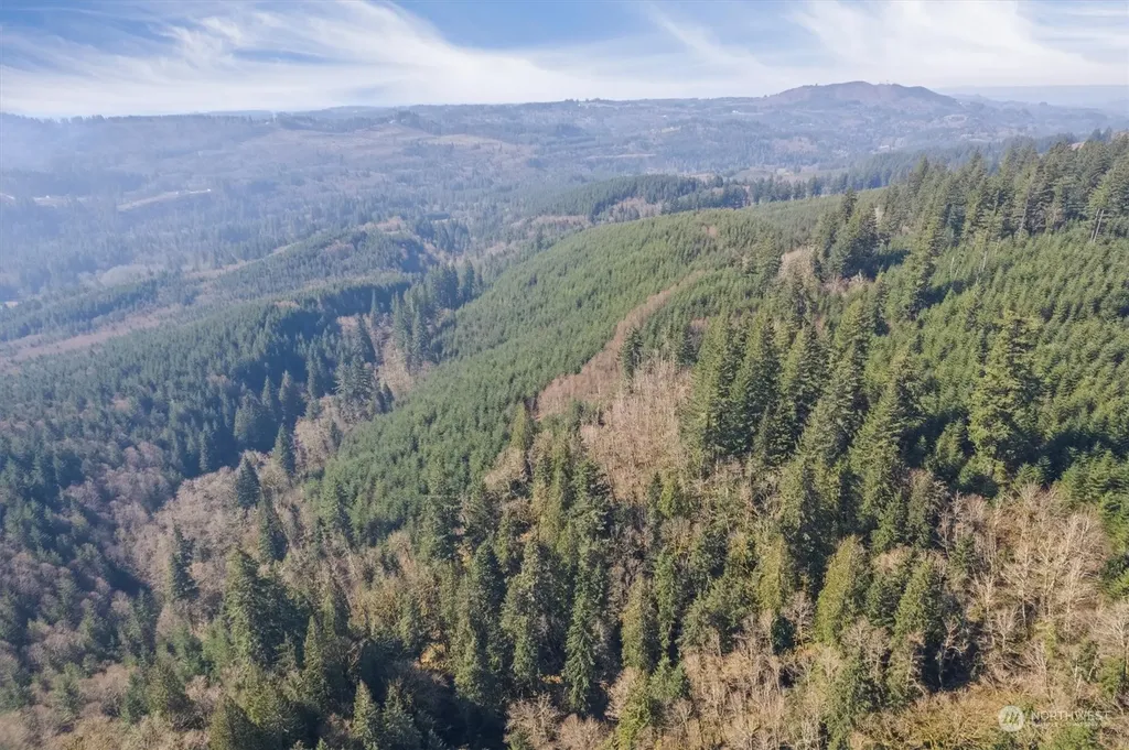 0 Cedar Mist Road Amboy WA 98601
