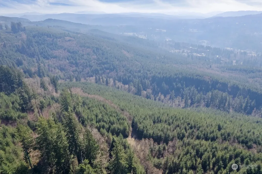 0 Cedar Mist Road Amboy WA 98601