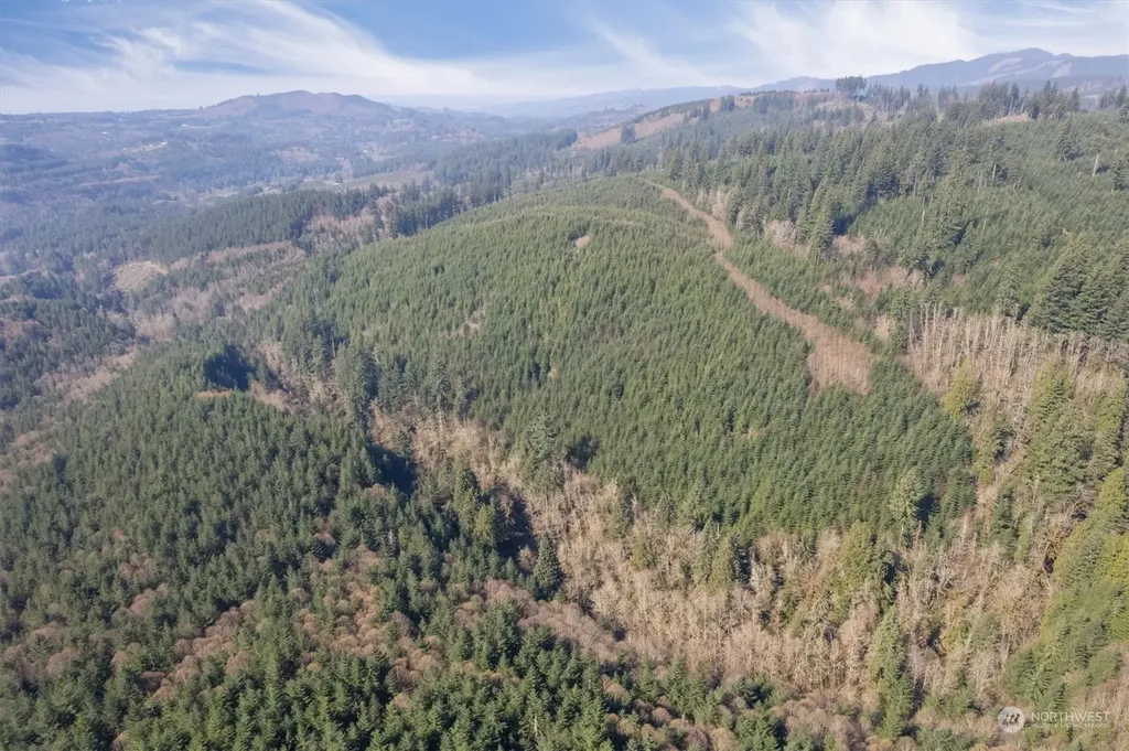 0 Cedar Mist Road Amboy WA 98601