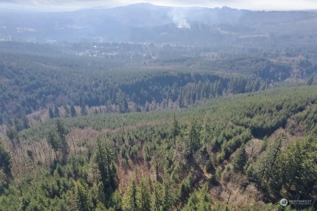 0 Cedar Mist Road Amboy WA 98601