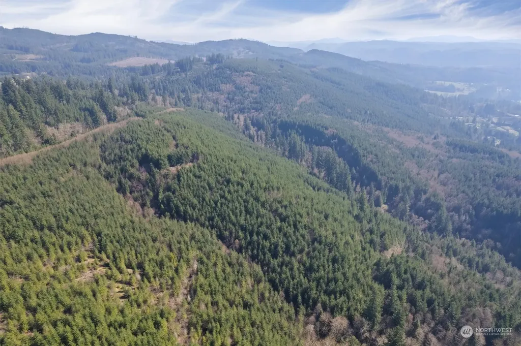 0 Cedar Mist Road Amboy WA 98601
