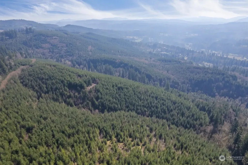 0 Cedar Mist Road Amboy WA 98601