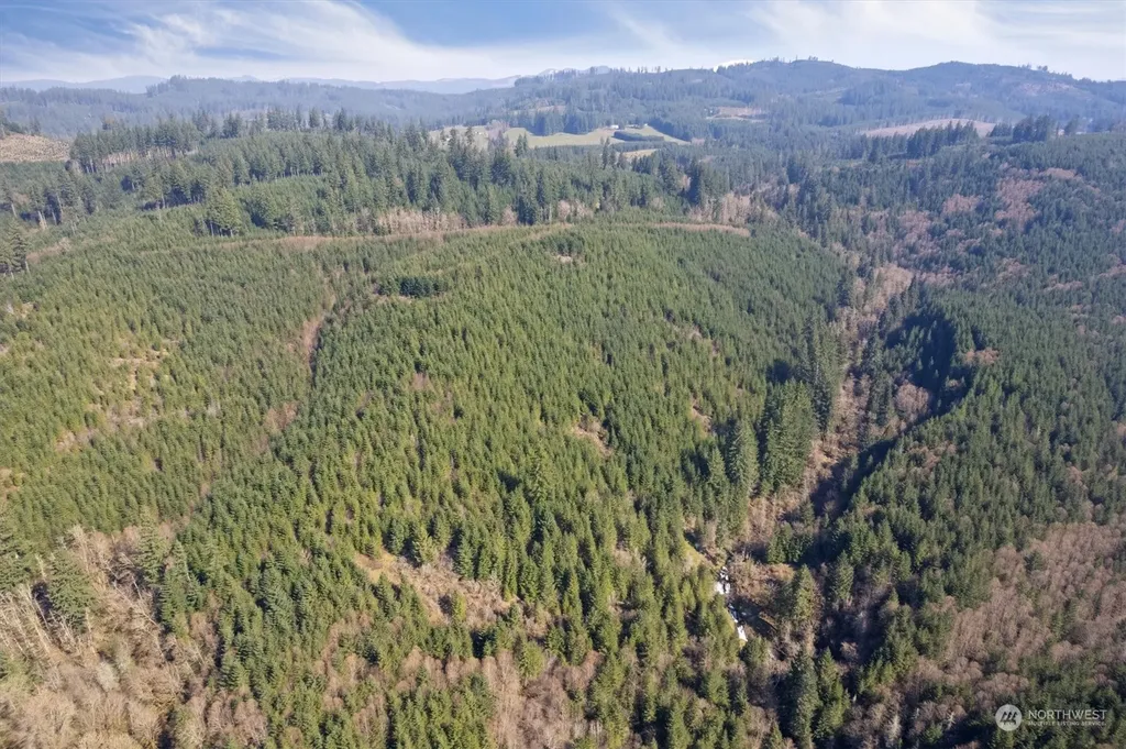 0 Cedar Mist Road Amboy WA 98601