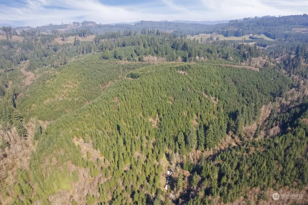 0 Cedar Mist Road Amboy WA 98601