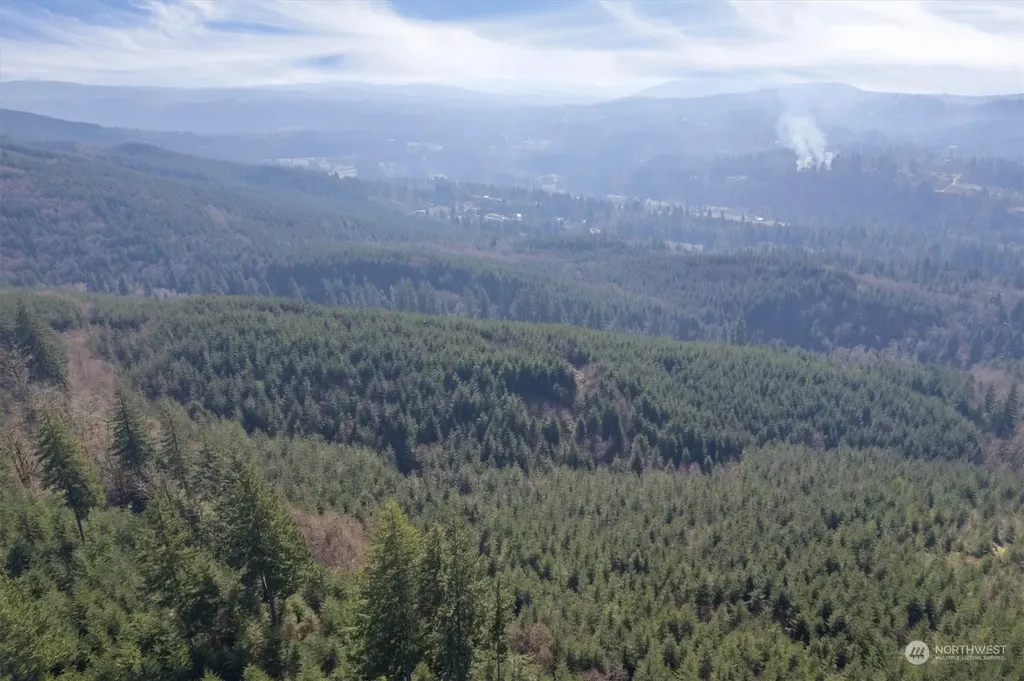 0 Cedar Mist Road Amboy WA 98601