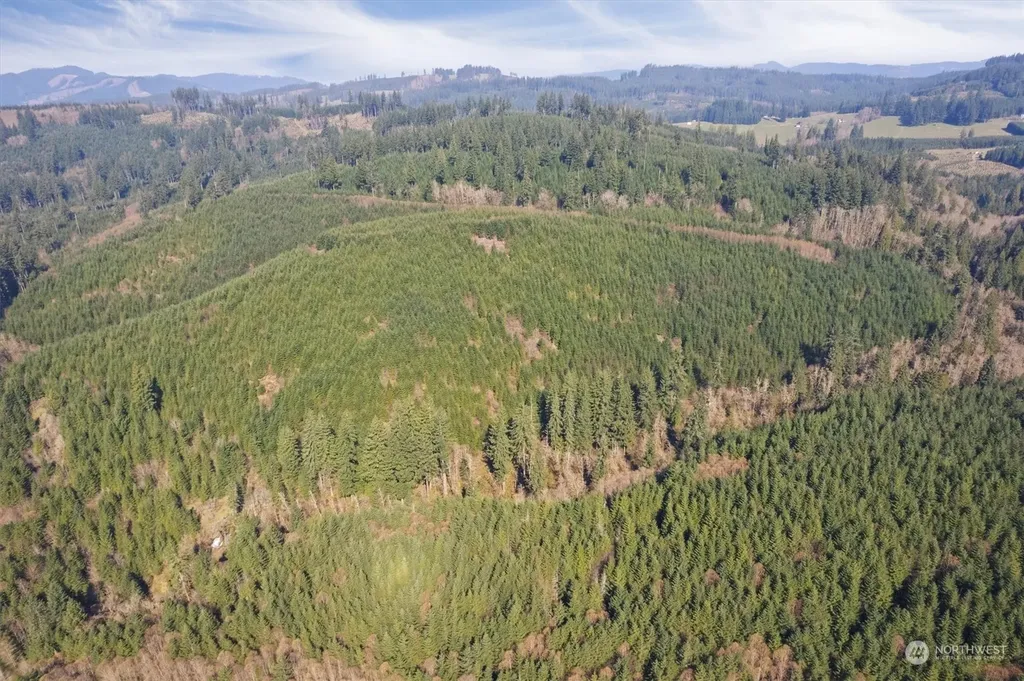 0 Cedar Mist Road Amboy WA 98601