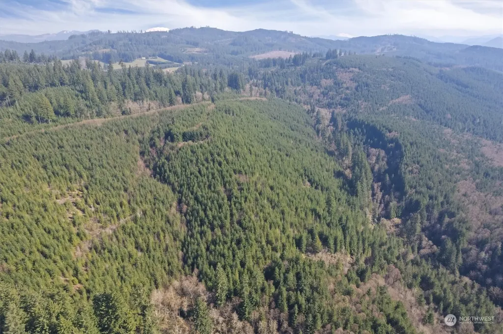 0 Cedar Mist Road Amboy WA 98601