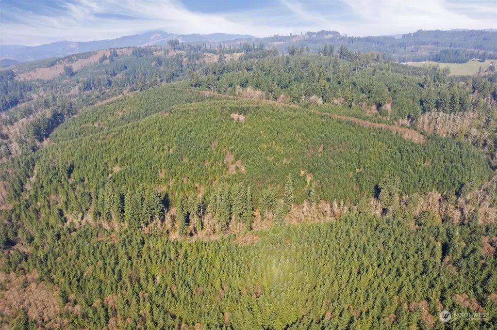 0 Cedar Mist Road Amboy WA 98601