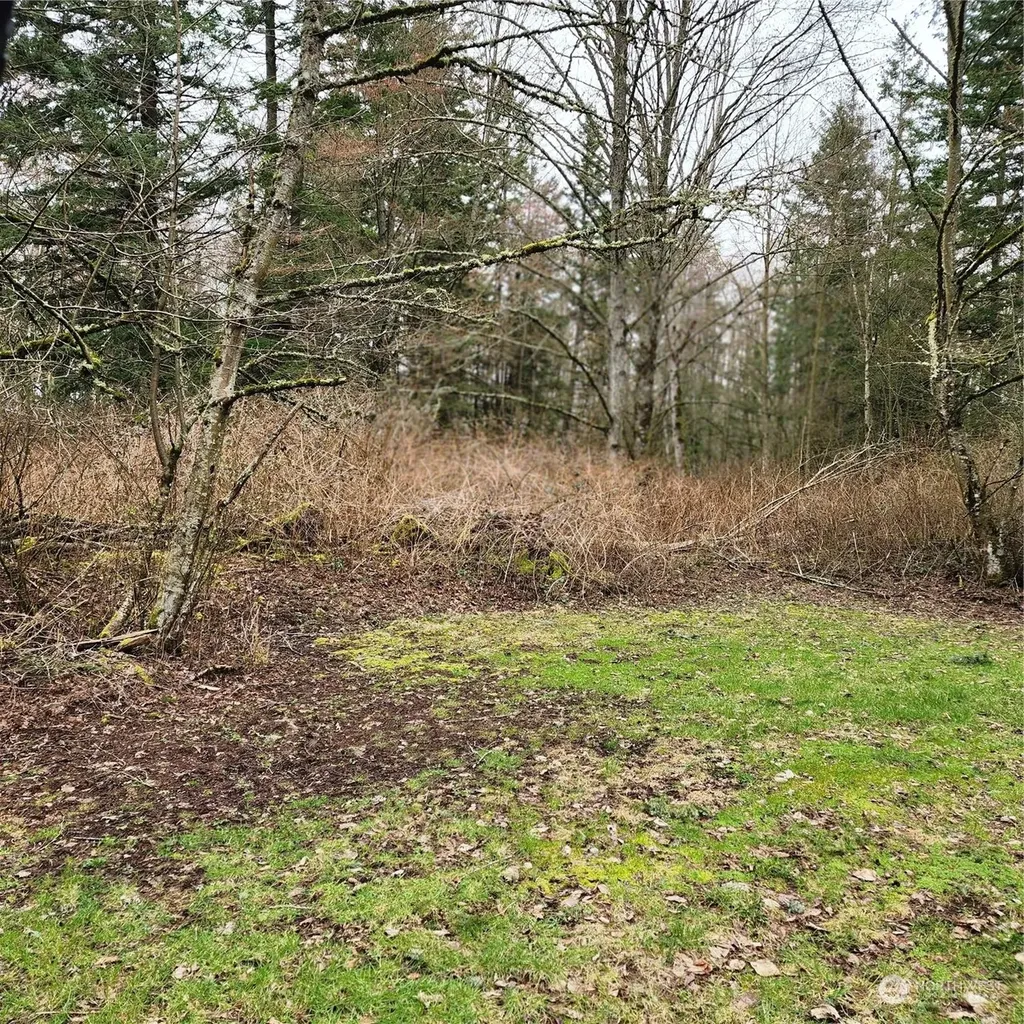0 Valley View Lot 2 Road Ferndale WA 98248