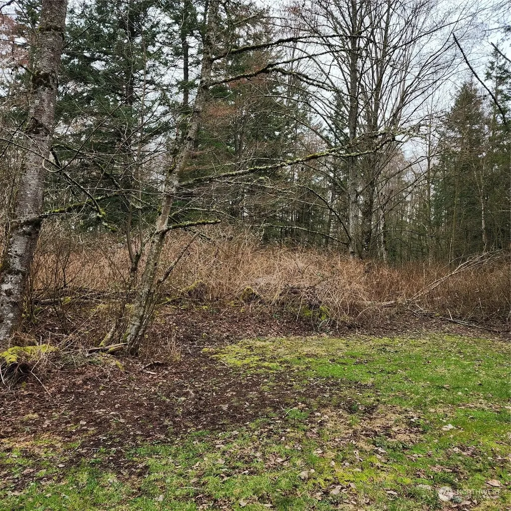 0 Valley View Lot 2 Road Ferndale WA 98248