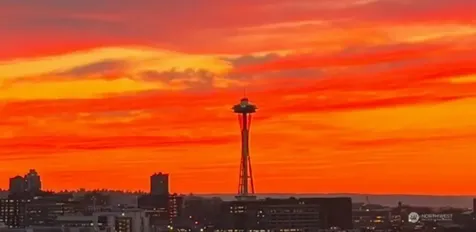 2208 Harvard Avenue E Seattle WA 98102
