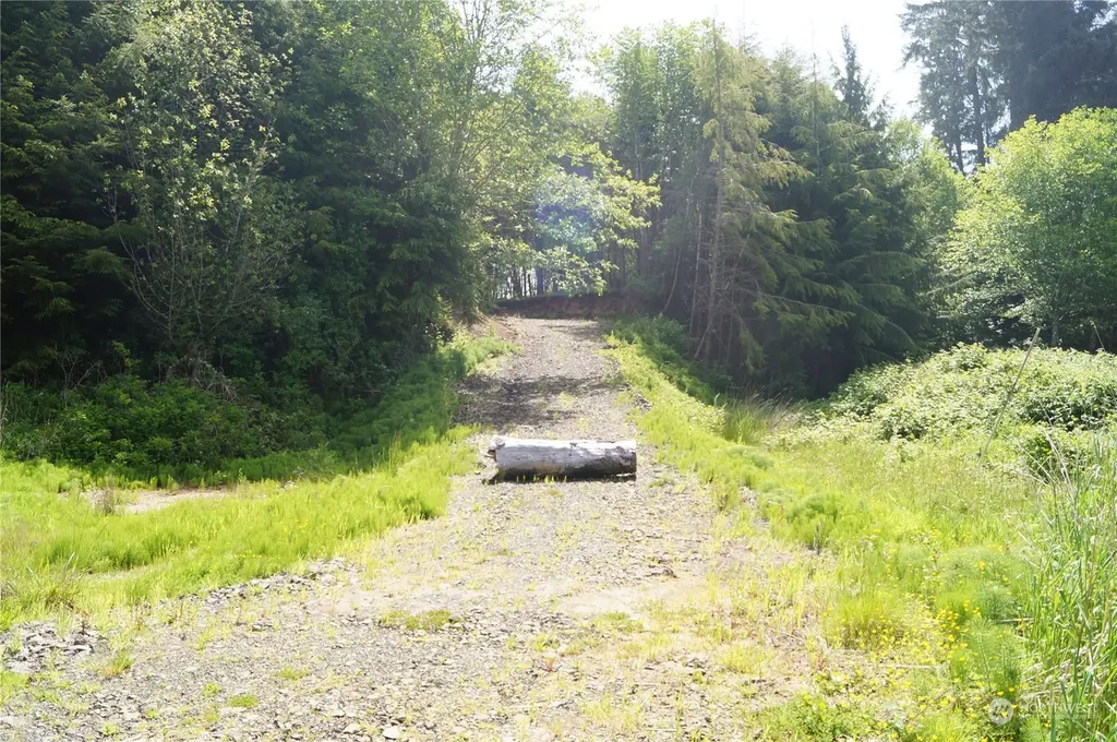 2724 State Route 109 Ocean City WA 98569