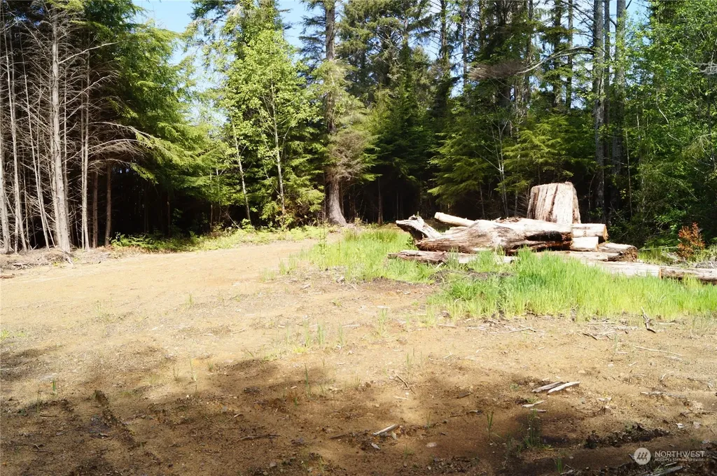 2724 State Route 109 Ocean City WA 98569