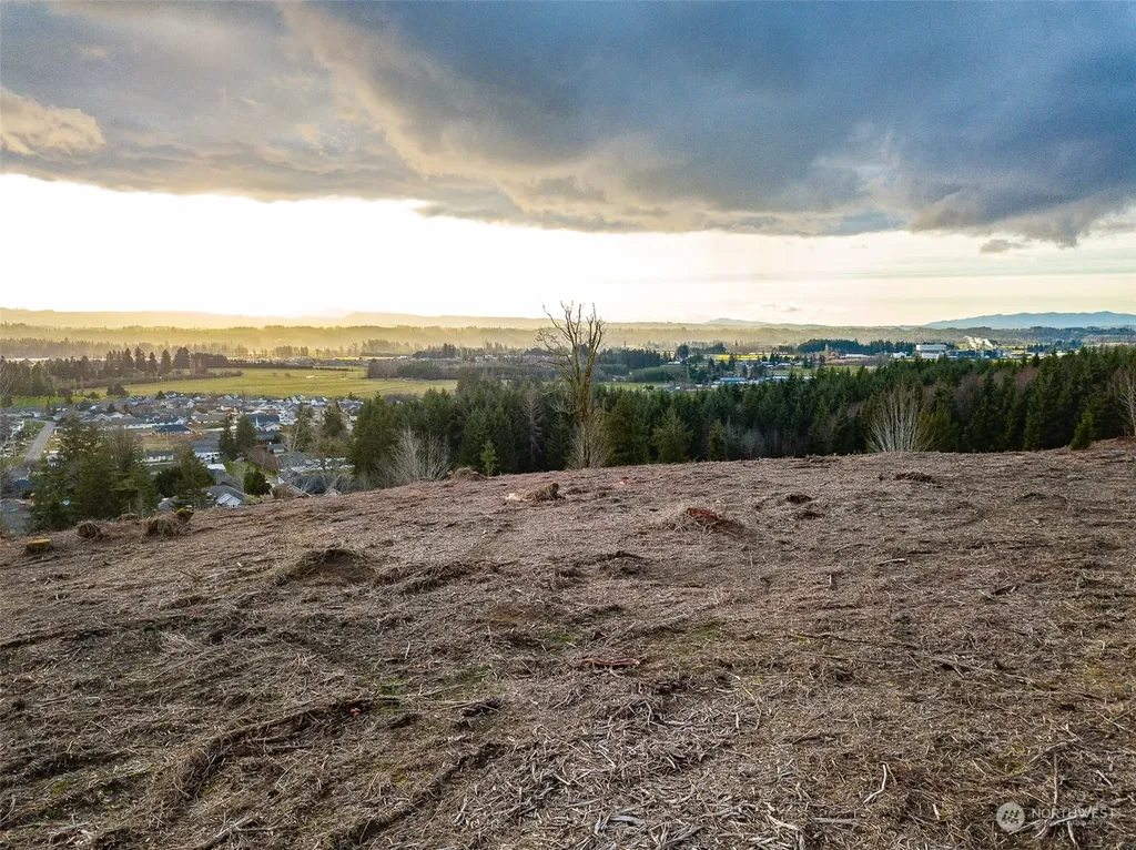 0 Germaine Drive Chehalis WA 98532