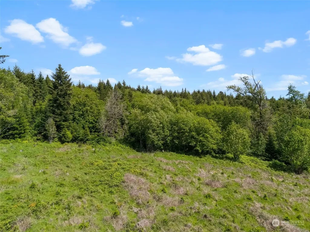 0 Germaine Drive Chehalis WA 98532
