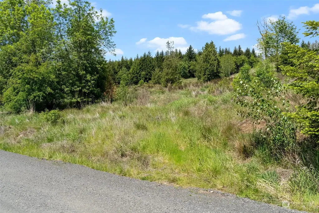 0 Germaine Drive Chehalis WA 98532